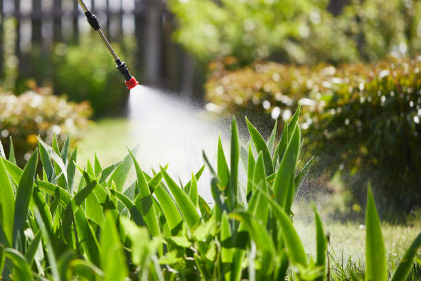 Tamper-Resistant Bait Stations for Rodents in Norton