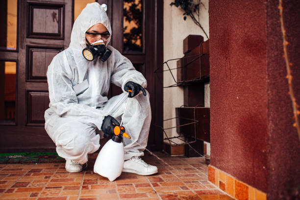 Attic and Crawl Space Rodent Treatment in Norton